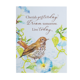 Card Set Encouragement Scripture Birds
