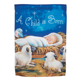 Flag A Child Is Born 30x44