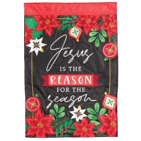 Flag Jesus Is The Reason 29x42