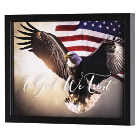 Framed Wall Art Eagle In God We Trust