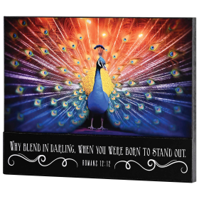 Stacked Wall Plaque Peacock Why Blend In